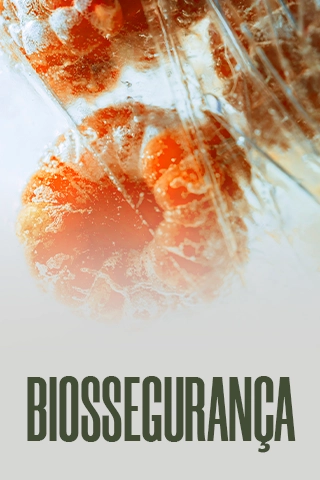 MODULO_9_resultado.webp